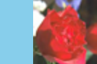../_images/distort-srt-xy-angle.png