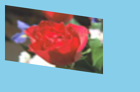 ../_images/distort-affine-projection.png