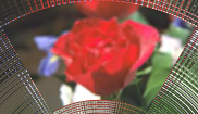 ../_images/distort-arc-dither.png