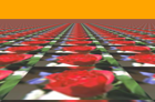 ../_images/distort-arc-matte.png