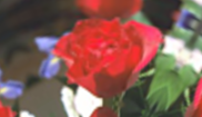 ../_images/distort-arc-mirror.png