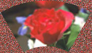 ../_images/distort-arc-random.png