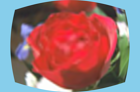 ../_images/distort-barrel-inverse.png