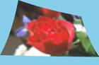 ../_images/distort-polynomial.png