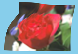 ../_images/distort-shepards.png