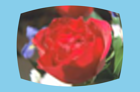 ../_images/distort-barrel.png
