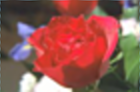 ../_images/distort-bilinear-reverse.png