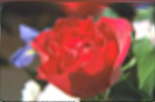 ../_images/distort-depolar.png