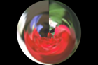 ../_images/distort-polar.png